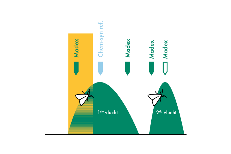 7 redenen voor een vroege Madex-toepassing op de 1e generatie fruitmot