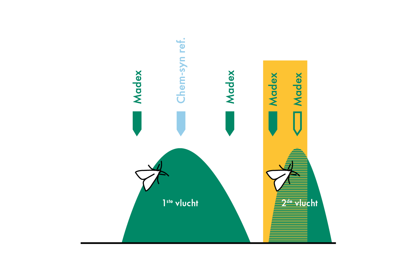 Madex op de 2e generatie fruitmot: Bescherm en bestendig uw oogst