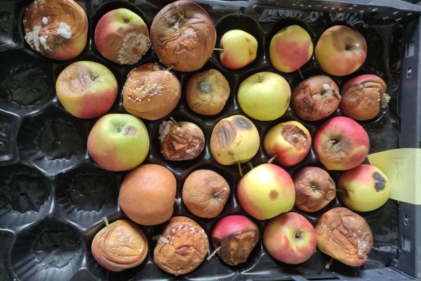 Blossom Protect als residuvrij puzzelstukje in een afspuitschema