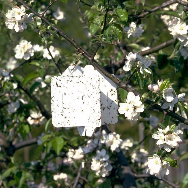 Monitoring en Vallen - Andermatt Nederland bv
