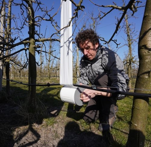 De klevende Catch-It vangband is gemakkelijk te hanteren - Andermatt Nederland