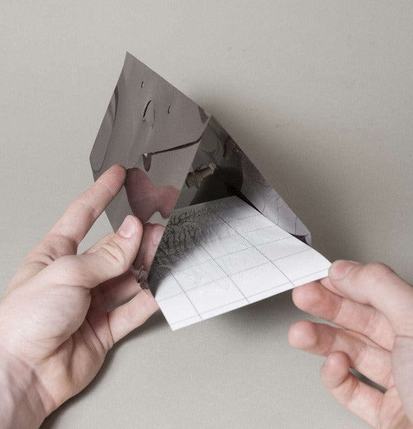 De lijmplaat plaatsen in de Delta-val. Andermatt Nederland biedt oplossingen voor Monitoring en Vallen.