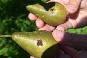 Madex Max - Andermatt Nederland bv