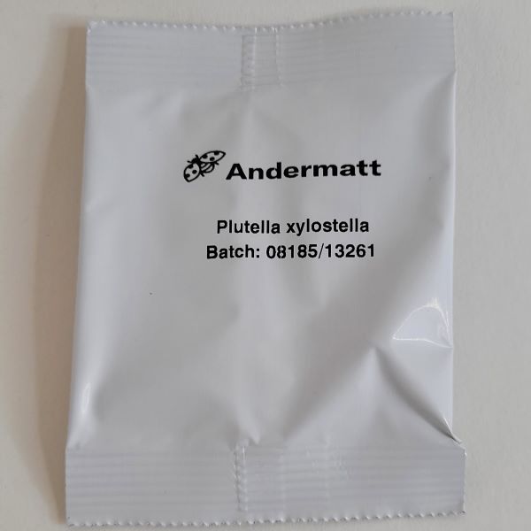 Lokstofdispenser voor de Delta-val - Koolmotje of Plutella xylostella