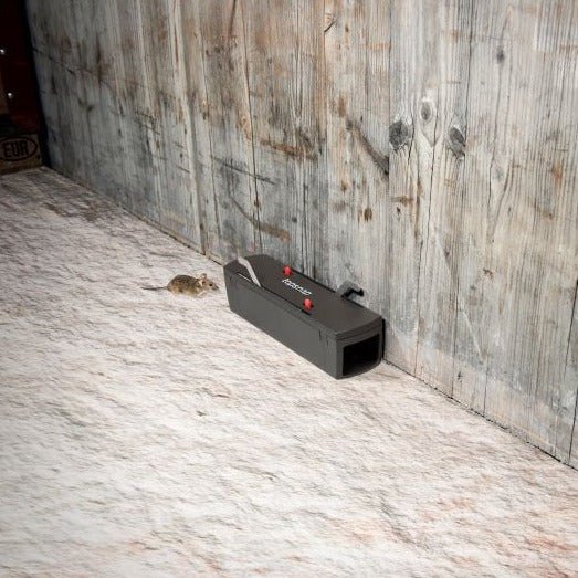 De topsnap muizenval wordt het beste langs de muur geplaatst