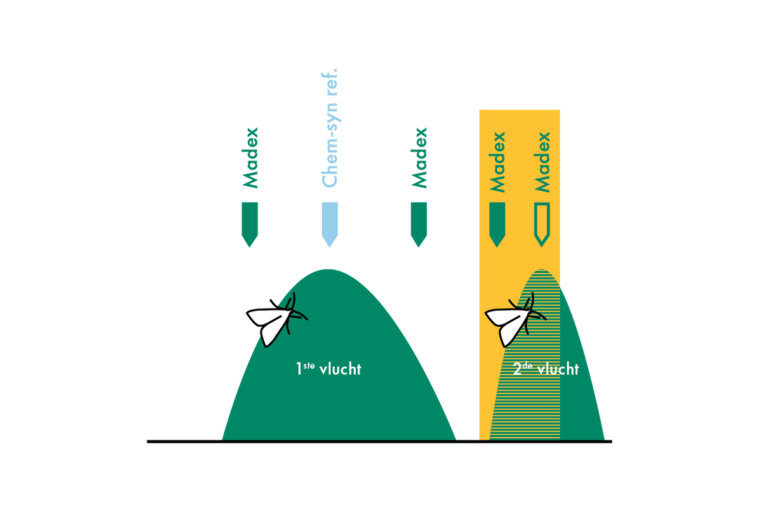 Madex op de 2e generatie fruitmot: Bescherm en bestendig uw oogst ...