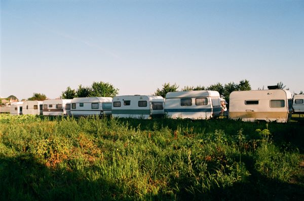 Caravanstallingen als risicofactor bij verspreiding bruingemarmerde stinkwants (Halyomorpha halys)