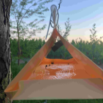 Delta-val met Kairo-Catch -monitoring fruitmot - Andermatt Nederland