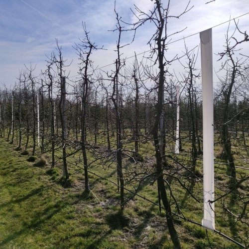 CATCH-IT vangband wit in een boomgaard - Andermatt Nederland