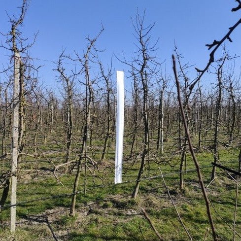 De CATCH-IT Vangband Wit wordt opgespannen in de boomgaard - Andermatt Nederland
