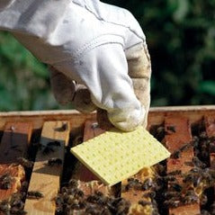 THYMOVAR toepassing op een bijenkast - Andermatt Nederland